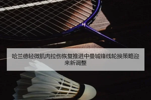 哈兰德轻微肌肉拉伤恢复推进中曼城锋线轮换策略迎来新调整