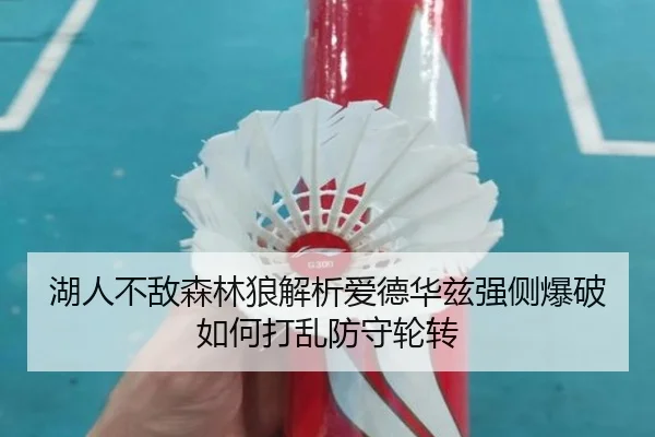 湖人不敌森林狼解析爱德华兹强侧爆破如何打乱防守轮转
