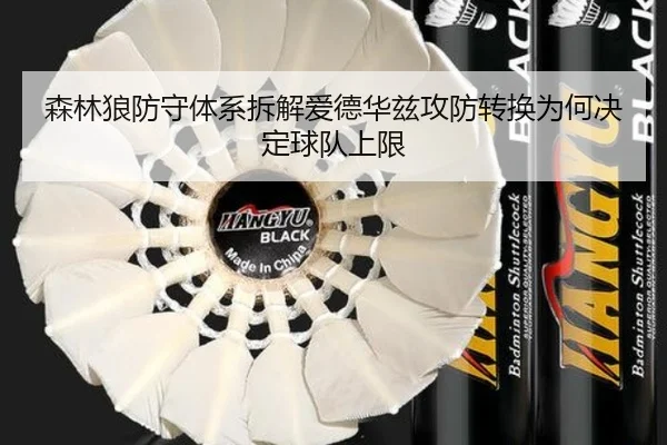 森林狼防守体系拆解爱德华兹攻防转换为何决定球队上限