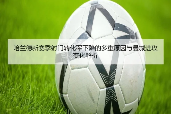 img_1781726807239_708_1_873.jpg