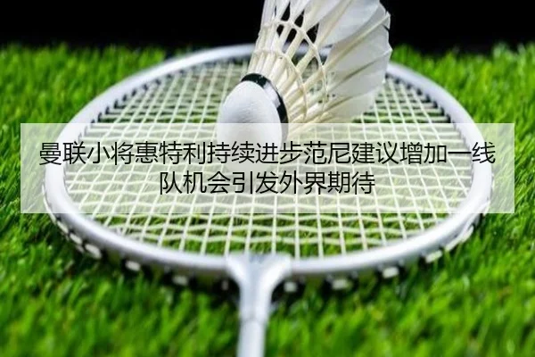 曼联小将惠特利持续进步范尼建议增加一线队机会引发外界期待